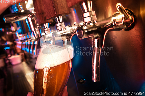 Image of Bartender pouring a large lager beer in tap