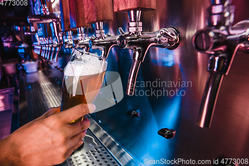 Image of Hand of bartender pouring a large lager beer in tap