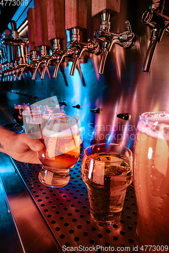 Image of Hand of bartender pouring a large lager beer in tap