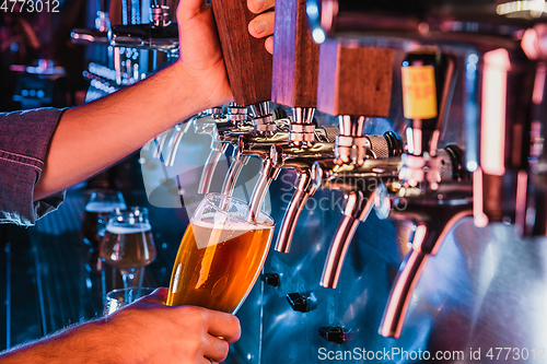 Image of Hand of bartender pouring a large lager beer in tap