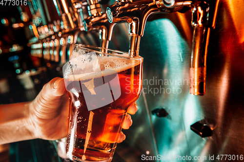 Image of Hand of bartender pouring a large lager beer in tap