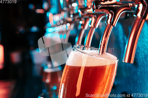 Image of Bartender pouring a large lager beer in tap