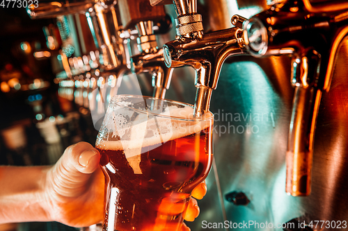 Image of Hand of bartender pouring a large lager beer in tap