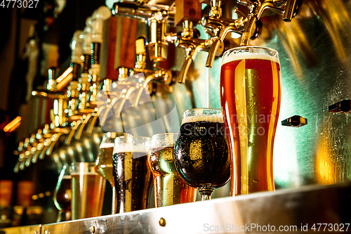 Image of Glasses of different kinds of beer, time for oktoberfest