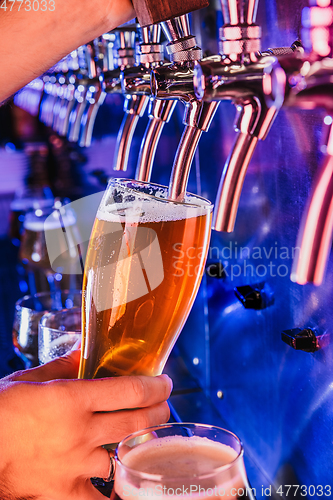 Image of Hand of bartender pouring a large lager beer in tap