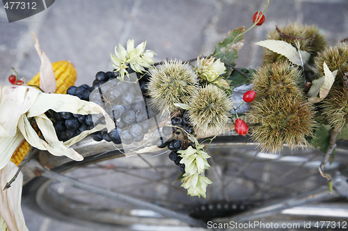 Image of Autumn decoration