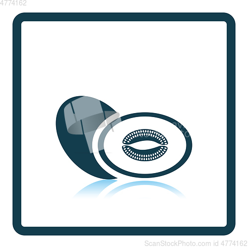 Image of Icon of Melon