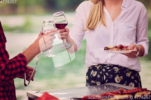 Image of friends toasting red wine glass while having picnic french dinner party