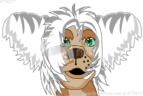 Image of Vector illustration of the portrait chinese crested dogs