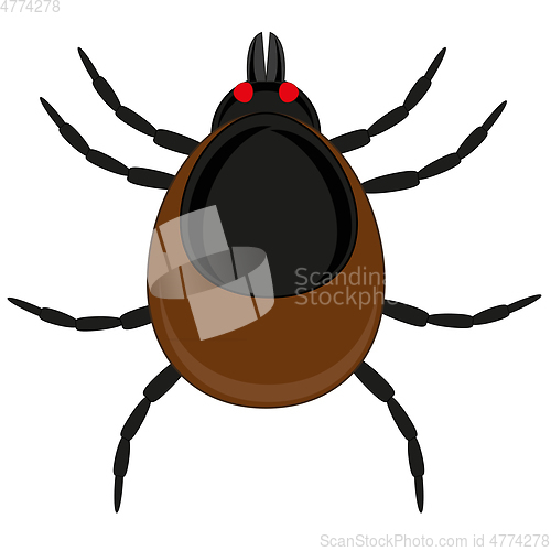 Image of Insect mite on white background is insulated