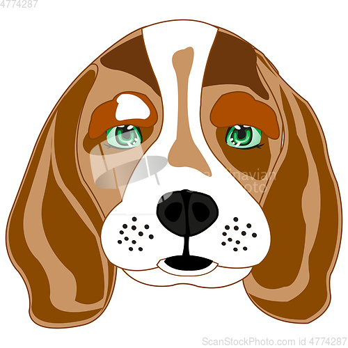 Image of Dog beagle on white background is insulated