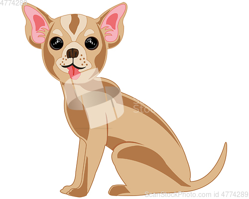 Image of Decorative dog chihuahua on white background is insulated