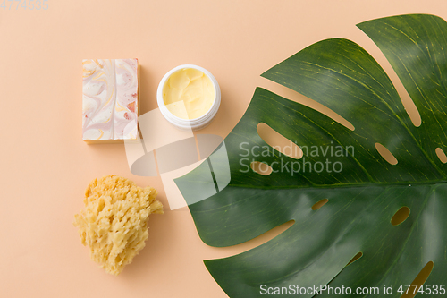 Image of natural soap, sponge, body butter and monstera