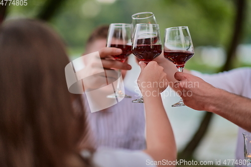 Image of friends toasting red wine glass while having picnic french dinner party