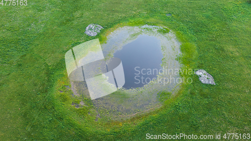 Image of Springtime waterhole in fresh green meadow