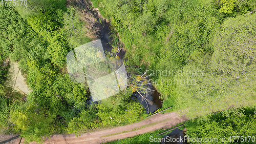 Image of Forest river crosing riparian tree stand