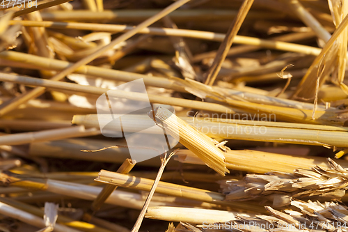 Image of dry yellow straw