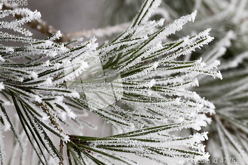 Image of Winter time