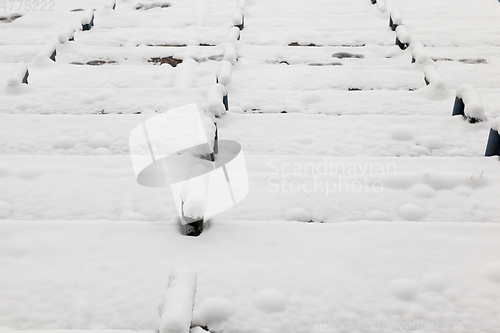 Image of Old wooden benches