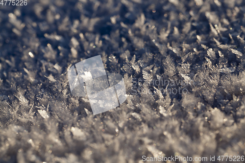 Image of Snowdrifts, a field in winter