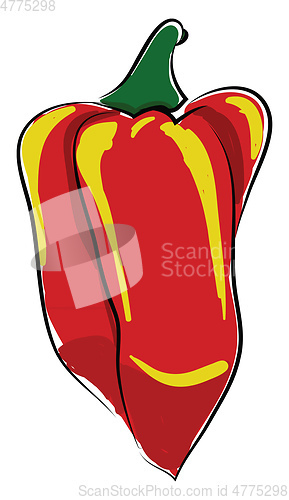 Image of A red pepper, vector color illustration.
