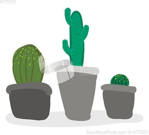 Image of Beautiful indoor decoration of small cactus pots provides extra 