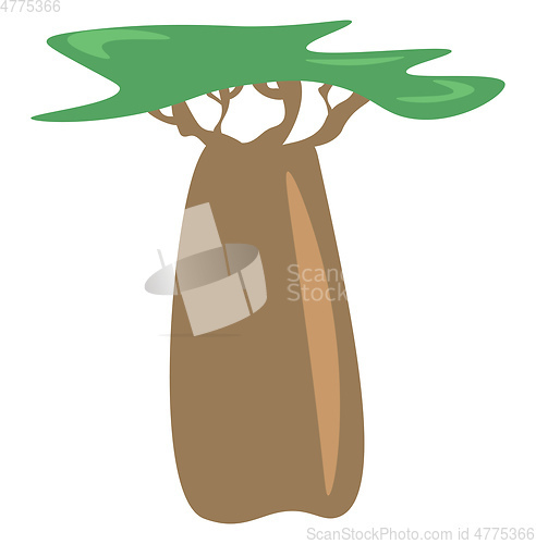 Image of A boabab tree vector or color illustration