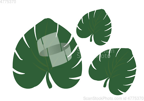 Image of Cartoon tropical green leaves/Three palm leaves vector or color 