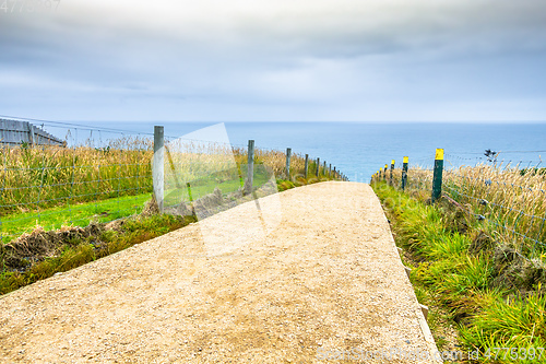 Image of Path to Tunnel Beach New Zealand