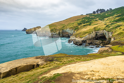 Image of Tunnel Beach New Zealand
