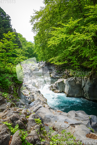 Image of Kanmangafuchi abyss, Nikko, Japan