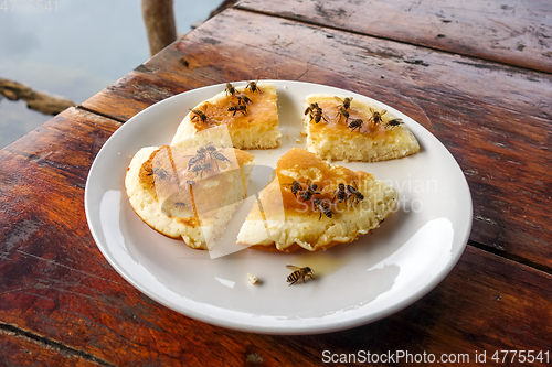 Image of Wasps on a pancake, Thailand