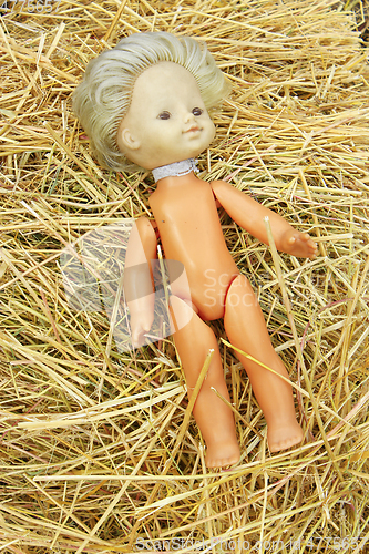 Image of doll lost on the hay