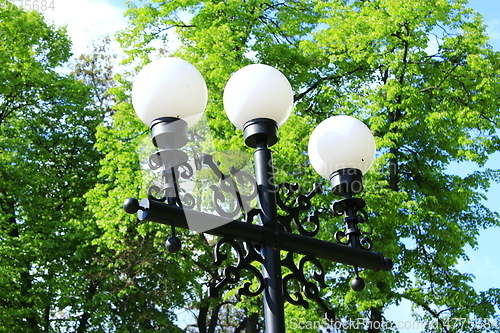Image of Lanterns in city park