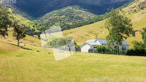 Image of house with sheep in New Zealand