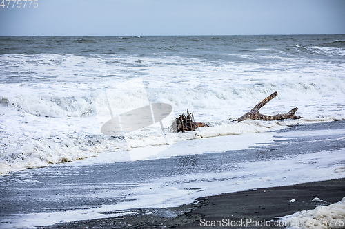 Image of jade beach Hokitika, New Zealand