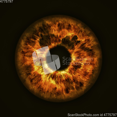 Image of golden eye iris