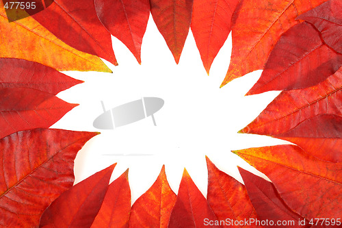 Image of Autumn copyspace