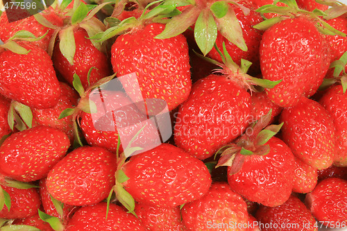 Image of Strawberry background