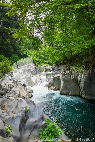 Image of Kanmangafuchi abyss, Nikko, Japan