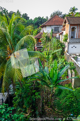 Image of Houses in jungle, Ubud, Bali, Indonesia