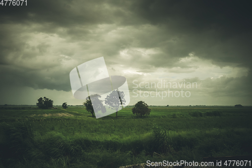 Image of Field in the storm, Chiang Mai, Thailand