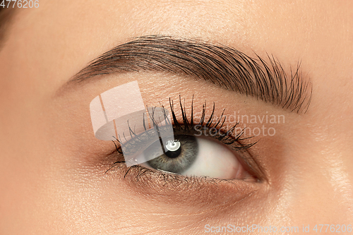 Image of Beautiful young woman\'s eye close-up, perfect skincare concept