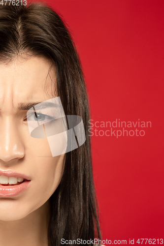 Image of Caucasian young woman\'s close up portrait on red background