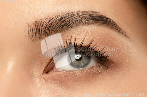 Image of Beautiful young woman\'s eye close-up, perfect skincare concept