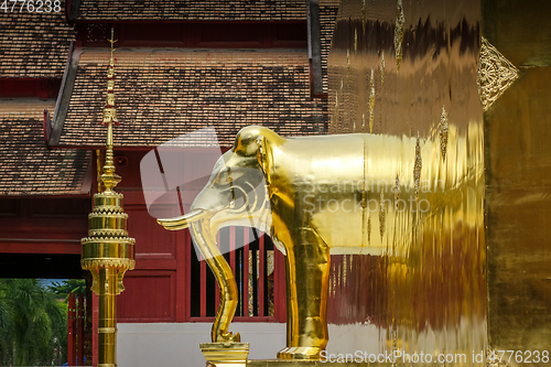 Image of Gold elephant statue, Wat Phra Singh temple, Chiang Mai, Thailan