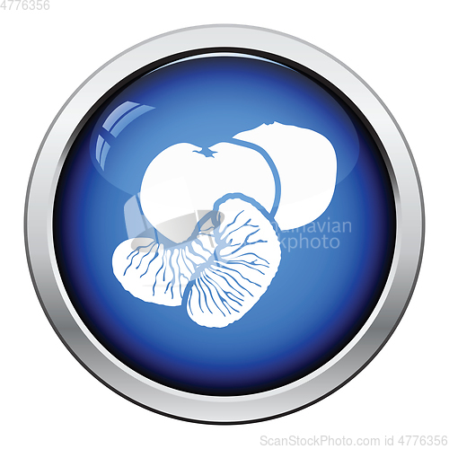 Image of Icon of Mandarin