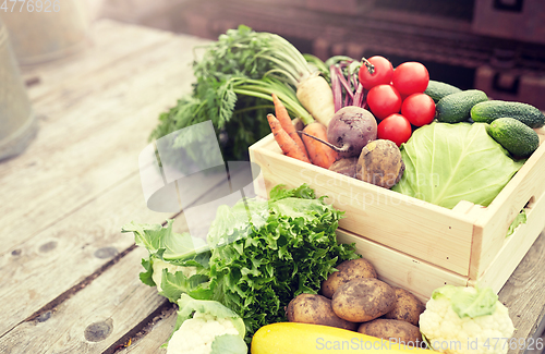 Image of close up of vegetables on farm