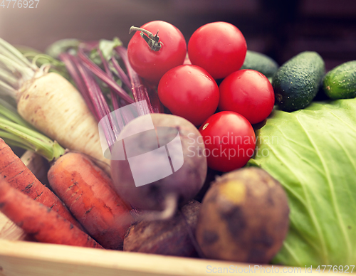 Image of close up of vegetables on farm