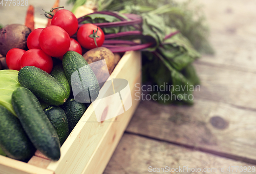 Image of close up of vegetables on farm